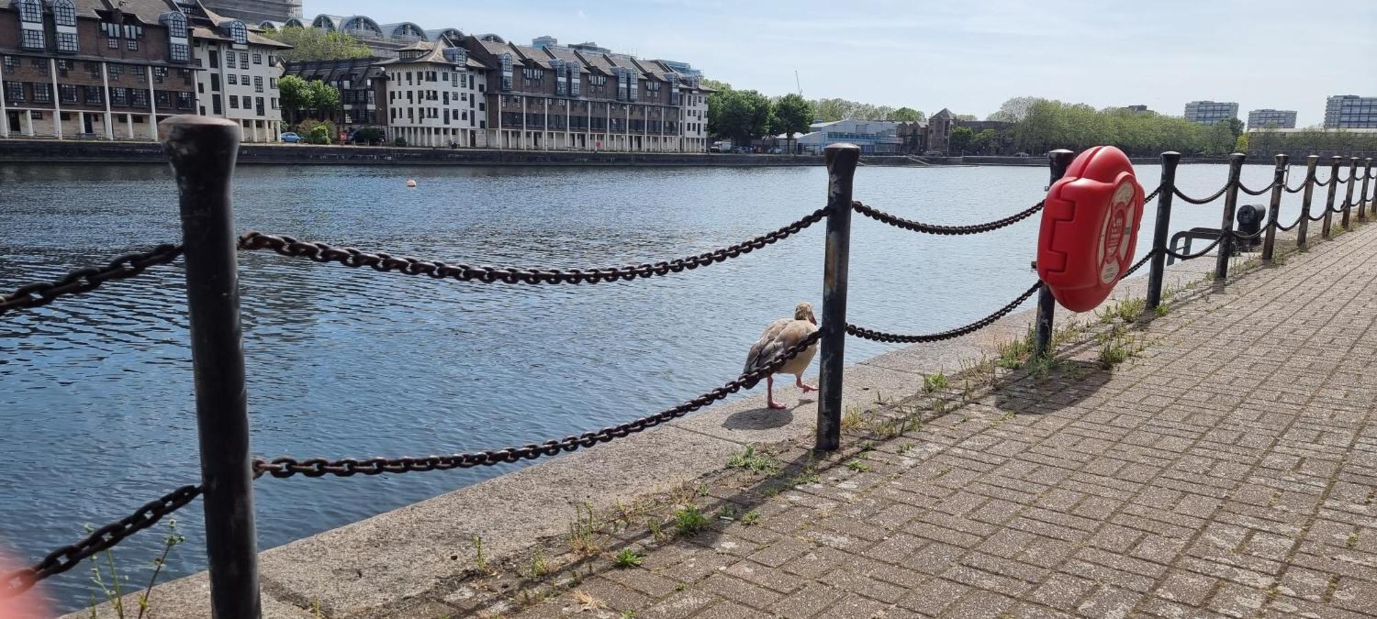 Riverside 1Br With Easy Transport 20Min To City Centre Лондон Екстер'єр фото